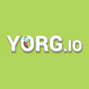 Yorg.io
