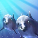 My Dolphin Show 4